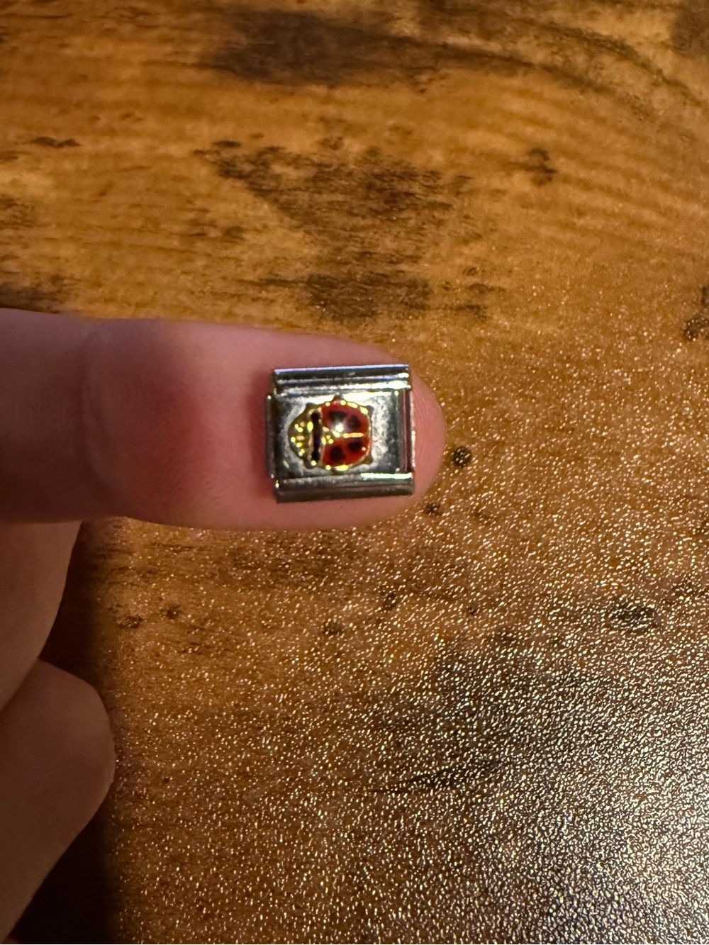 Lady bug Italian charm